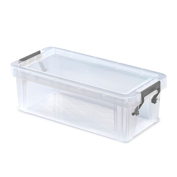 Opbergbox met Deksel Allstore 230x110x80 mm 1,3 Liter