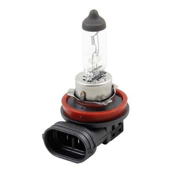 H11 Lamp Aspöck 24V 70W PGJ19-2