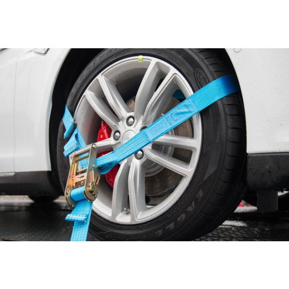 Autotransport spanband type A