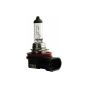 Halogeenlamp H11 MasterDuty 24V