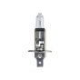 Philips H1 halogeenlamp 24V 70W Masterlife