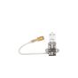 Aspöck H3 halogeenlamp 24V 70W