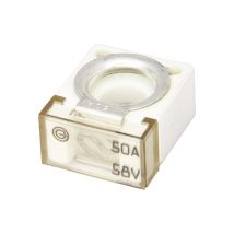 Hoofdzekering Maxx 50 Ampère Wit