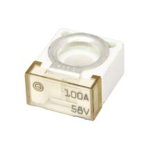 Hoofdzekering Maxx 100 Ampère Wit